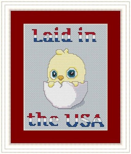 (image for) Laid in the USA